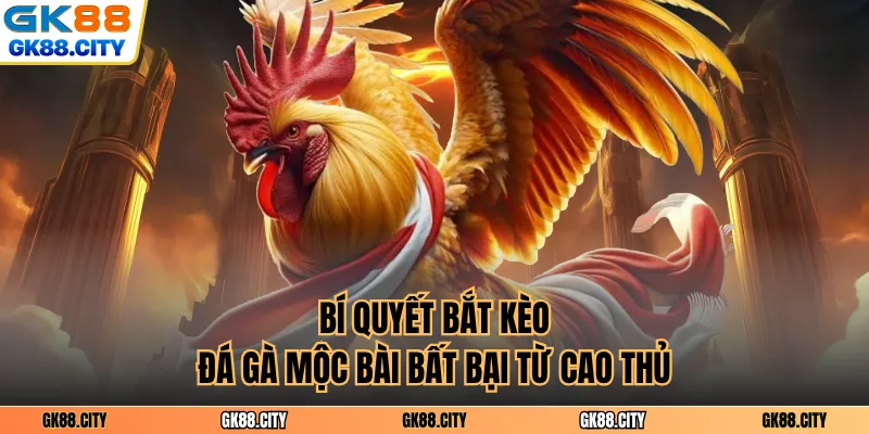 Bí quyết bắt kèo đá gà Mộc bài bất bại từ cao thủ