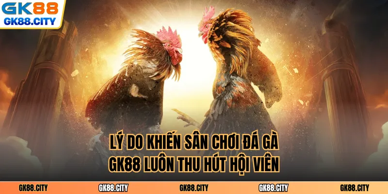 Lý do khiến sân chơi đá gà GK88 luôn thu hút hội viên